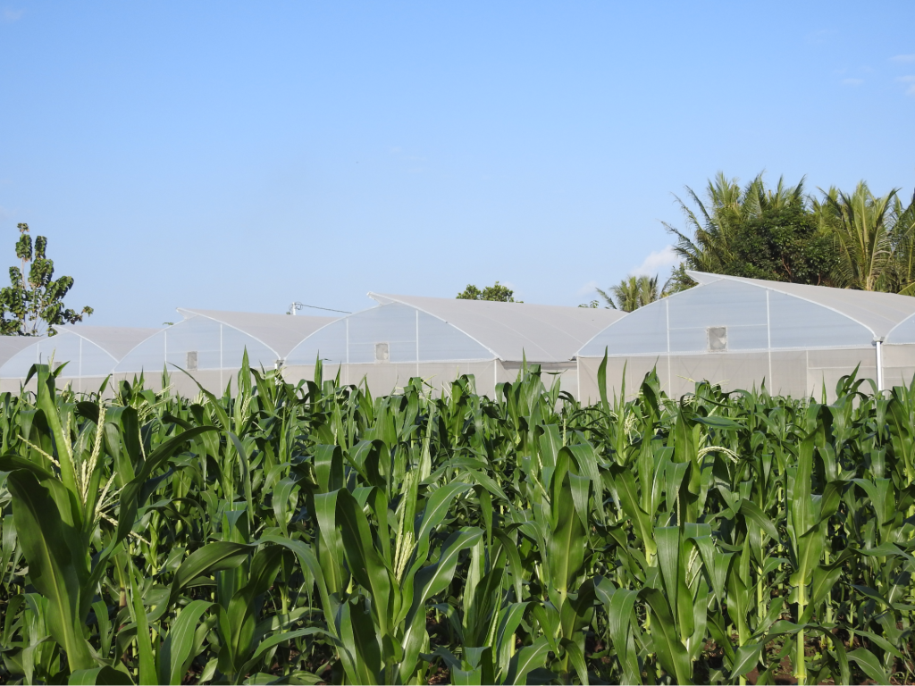 Research Centers on Environmental Sustainability